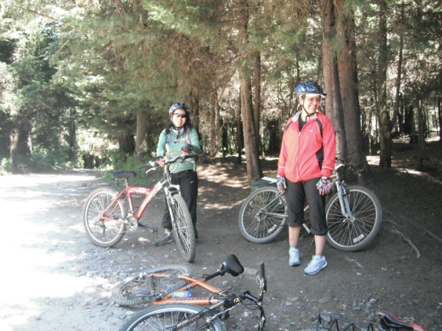 Un alto en el camino